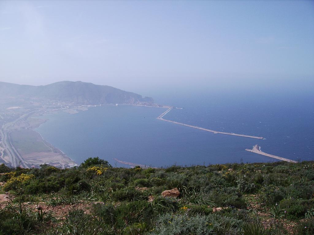 ORAN SANTA CRUZ (141).jpg - DIGITAL IMAGE 
